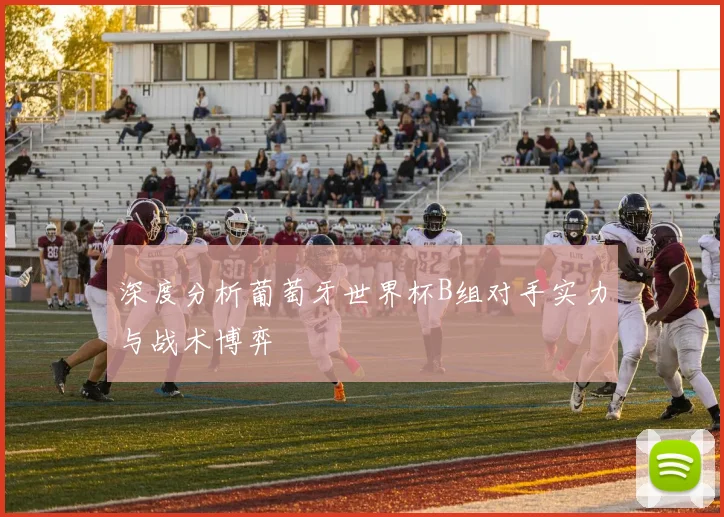 深度分析葡萄牙世界杯B组对手实力与战术博弈